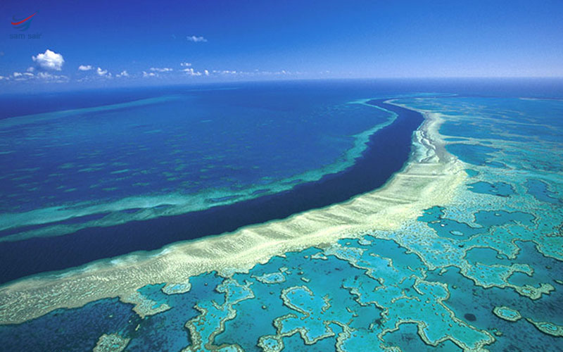 دیوار مرجانی تور استرالیا