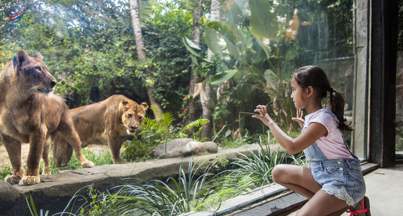 باغ وحش در تور بالی